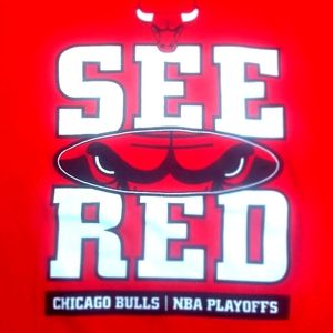 Vintage Chicago Bulls Playoff Mens XL Tee